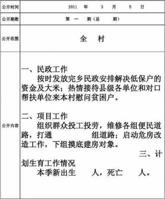 村务公开记录模板_村务公开记录模板怎么写-第3张图片-马瑞范文网