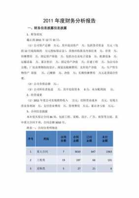 年终财务分析报告怎么写-财务报告年终分析模板-第3张图片-马瑞范文网