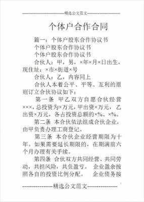 个体户合伙协议简洁版 个体合伙协议模板-第3张图片-马瑞范文网