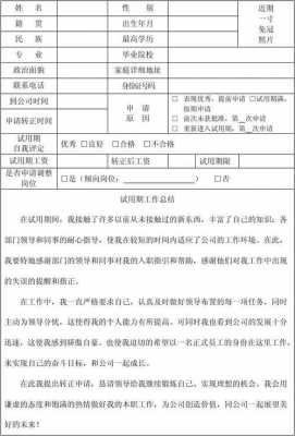  医师转正申请书模板「医师转正申请表」-第3张图片-马瑞范文网