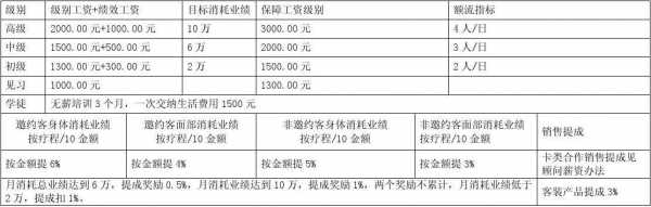 美容师薪资制度模板,美容师的薪资方案表 -第3张图片-马瑞范文网