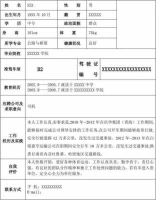 招聘司机个人简历模板-第2张图片-马瑞范文网