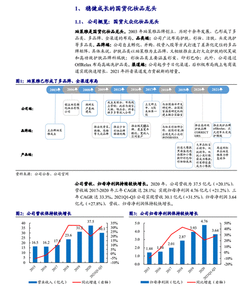 渠道部数据报告模板_渠道报告怎么写-第3张图片-马瑞范文网