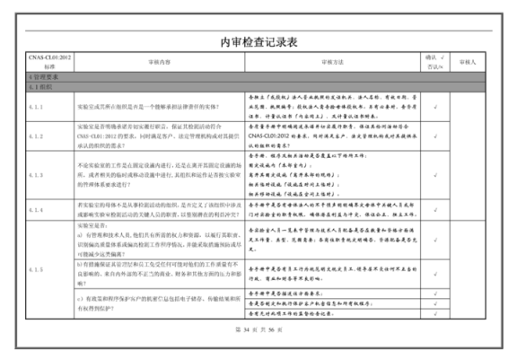 cnas2019版内审及检查记录 cnas实验室内审部门检查表模板-第3张图片-马瑞范文网