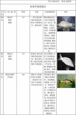 鱼类资源丰富原因模板_鱼类资源丰富原因模板怎么写-第1张图片-马瑞范文网