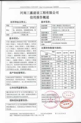 企业信用报告范文 企业信用审查报告模板-第1张图片-马瑞范文网