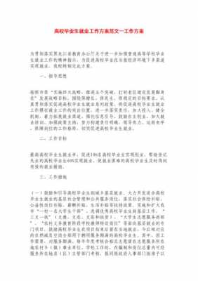 就业计划实施方案模板怎么写-第3张图片-马瑞范文网