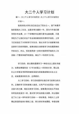 大二学习计划模板的简单介绍-第3张图片-马瑞范文网