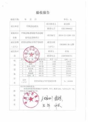 咨询服务验收报告-第2张图片-马瑞范文网