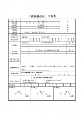 就业创业申请书模板,就业创业证个人书面申请 -第3张图片-马瑞范文网