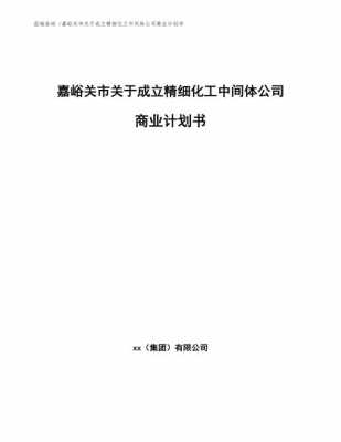  公司成立计划书模板「成立公司计划方案」-第2张图片-马瑞范文网