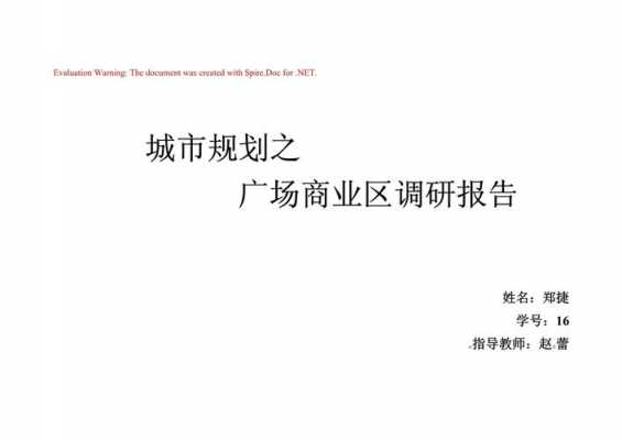 城市规划调查报告-城规调研报告格式模板范文-第1张图片-马瑞范文网