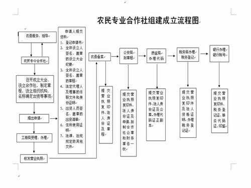 村委会合作社流程图-村委会委托合作社模板-第1张图片-马瑞范文网