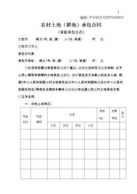 农村土地承包方案版本-第3张图片-马瑞范文网