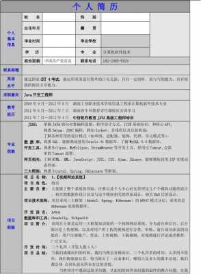 软件项目工程师简历模板范文-第2张图片-马瑞范文网