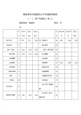 财务年度报告模板-第2张图片-马瑞范文网