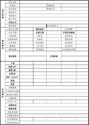 房地产置业表模板_房产置业报告-第3张图片-马瑞范文网