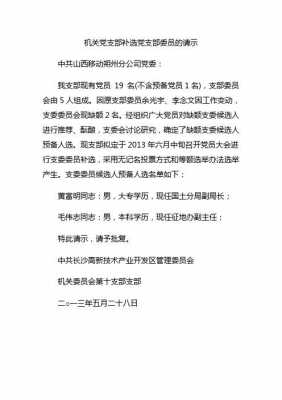 党委增补委员的3个请示-党委委员增补模板-第3张图片-马瑞范文网