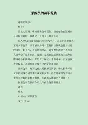 采购辞职报告模板_采购辞职了适合做什么-第3张图片-马瑞范文网