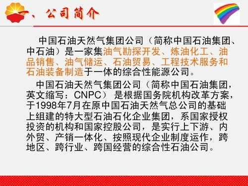 关于石油公司简介模板_石油公司是做什么的-第2张图片-马瑞范文网