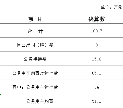 乡镇决算报告模板（乡镇决算报告模板图片）-第1张图片-马瑞范文网