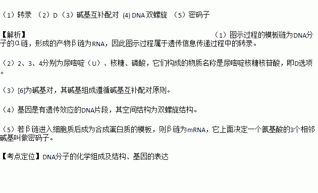 模板合成法的优点 需要模板合成物质-第1张图片-马瑞范文网