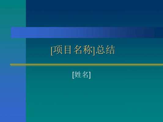 竞赛项目概况模板（竞赛项目总结）-第3张图片-马瑞范文网