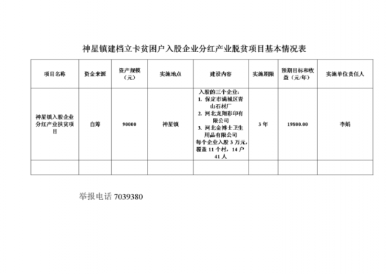 公司入股表格模板,公司入股程序 -第3张图片-马瑞范文网