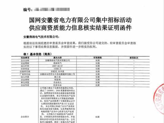  资质证明模板「资质证明文件包括哪些」-第3张图片-马瑞范文网