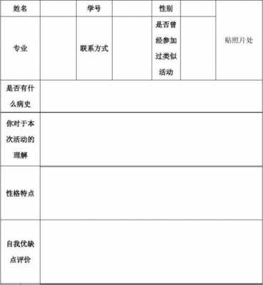  三下乡申请表填写模板「三下乡申报书项目名称」-第2张图片-马瑞范文网