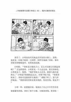 看图写话教学模板（看图写话 教学）-第1张图片-马瑞范文网