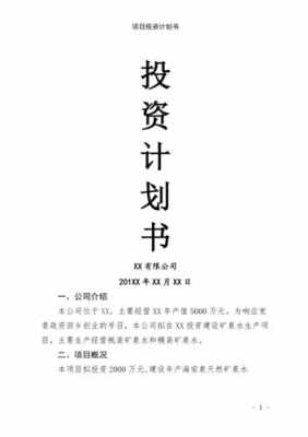 投资策划书模板（投资策划书模板图片）-第3张图片-马瑞范文网