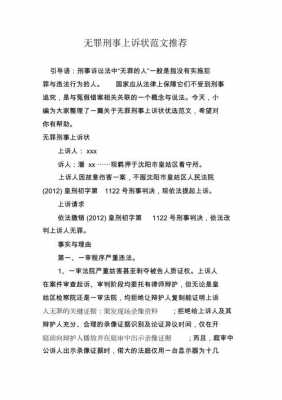 无罪上诉状怎么写范文 法庭无罪申请书模板-第1张图片-马瑞范文网