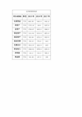 公司近年财务情况模板（最近一年财务状况怎么写）-第2张图片-马瑞范文网