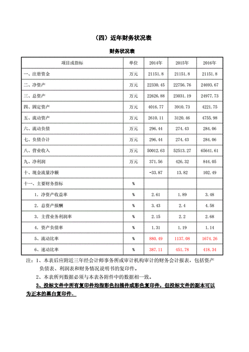 公司近年财务情况模板（最近一年财务状况怎么写）-第3张图片-马瑞范文网