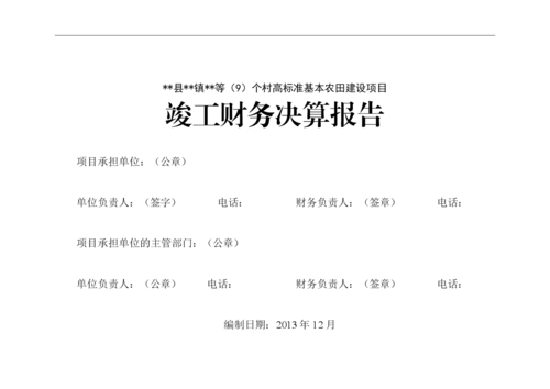 项目财务怎么写-第3张图片-马瑞范文网