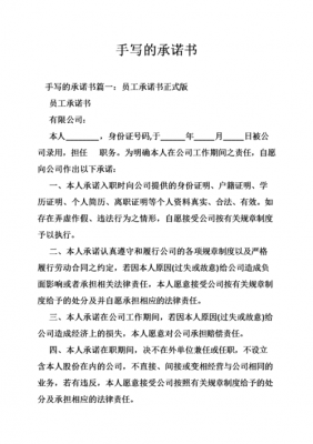 开发市场承诺书模板,开发公司承诺书简单模板 -第2张图片-马瑞范文网