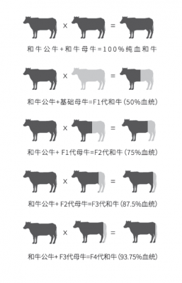 种畜系谱模板-第2张图片-马瑞范文网