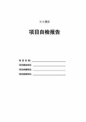  沼气站自检报告模板「沼气安全检查工作总结」-第2张图片-马瑞范文网