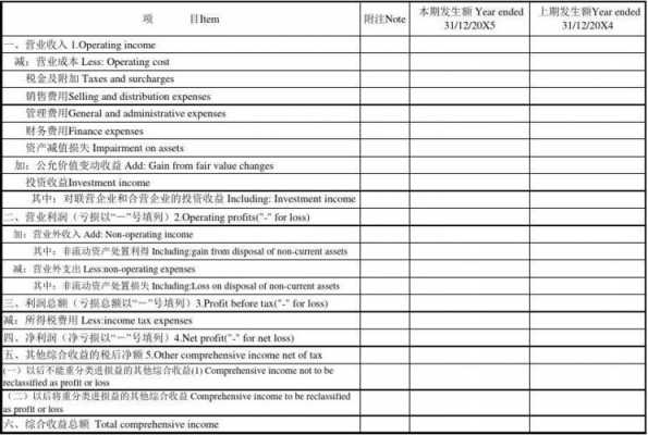 外企预算报告模板-第3张图片-马瑞范文网