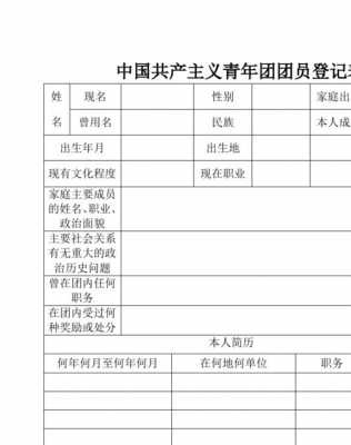 共青团团表格式模板怎么写-第3张图片-马瑞范文网