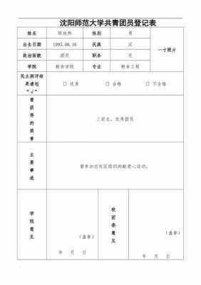 共青团团表格式模板怎么写-第2张图片-马瑞范文网