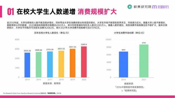 洞察报告模板（洞察报告模板范文）-第3张图片-马瑞范文网