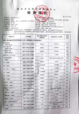 水质检测报告单模板-第2张图片-马瑞范文网