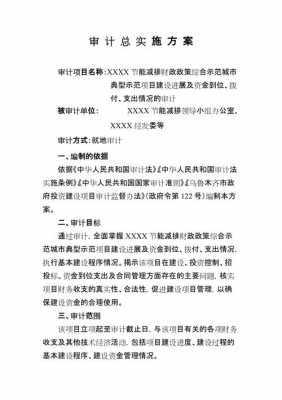 审计计划方案模板下载_第二章审计计划总结-第3张图片-马瑞范文网