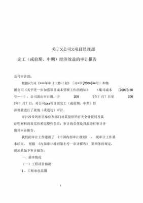  企业项目审计报告模板「企业项目审计重点内容」-第3张图片-马瑞范文网