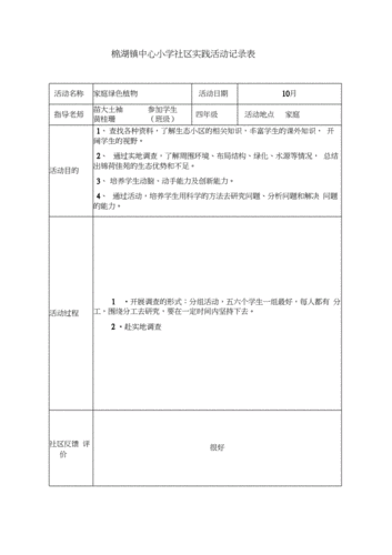 社会实践表的模板怎么写-社会实践表的模板-第2张图片-马瑞范文网