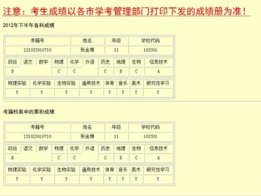 北京会考成绩单模板下载 北京会考成绩单模板-第2张图片-马瑞范文网