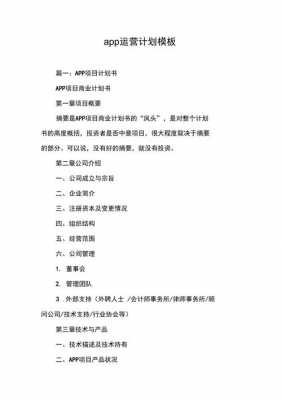 软件营销运营计划模板_软件营销运营计划模板范文-第1张图片-马瑞范文网