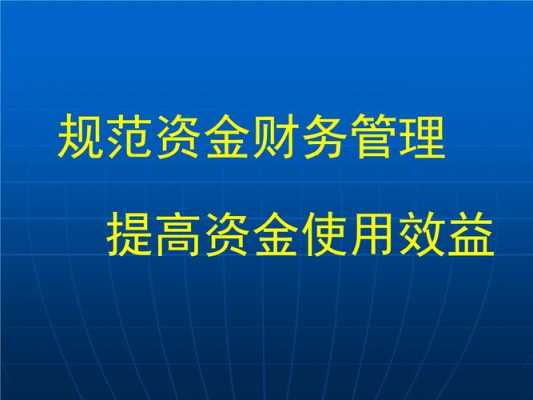 资金管理ppt模板免费 资金管理ppt模板-第3张图片-马瑞范文网